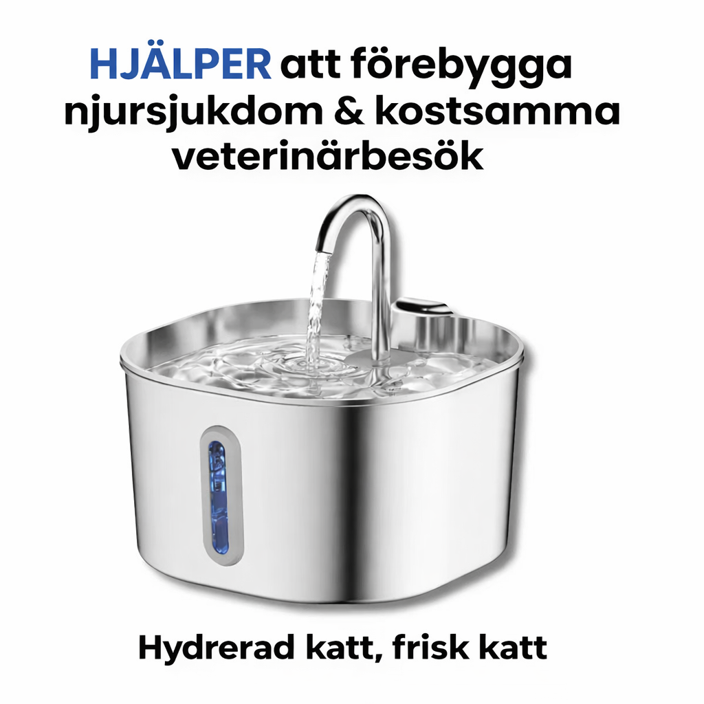 Nexora's kattfontän