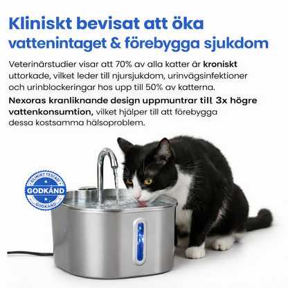 Nexora's kattfontän