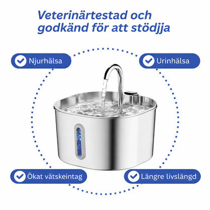 Nexora's kattfontän