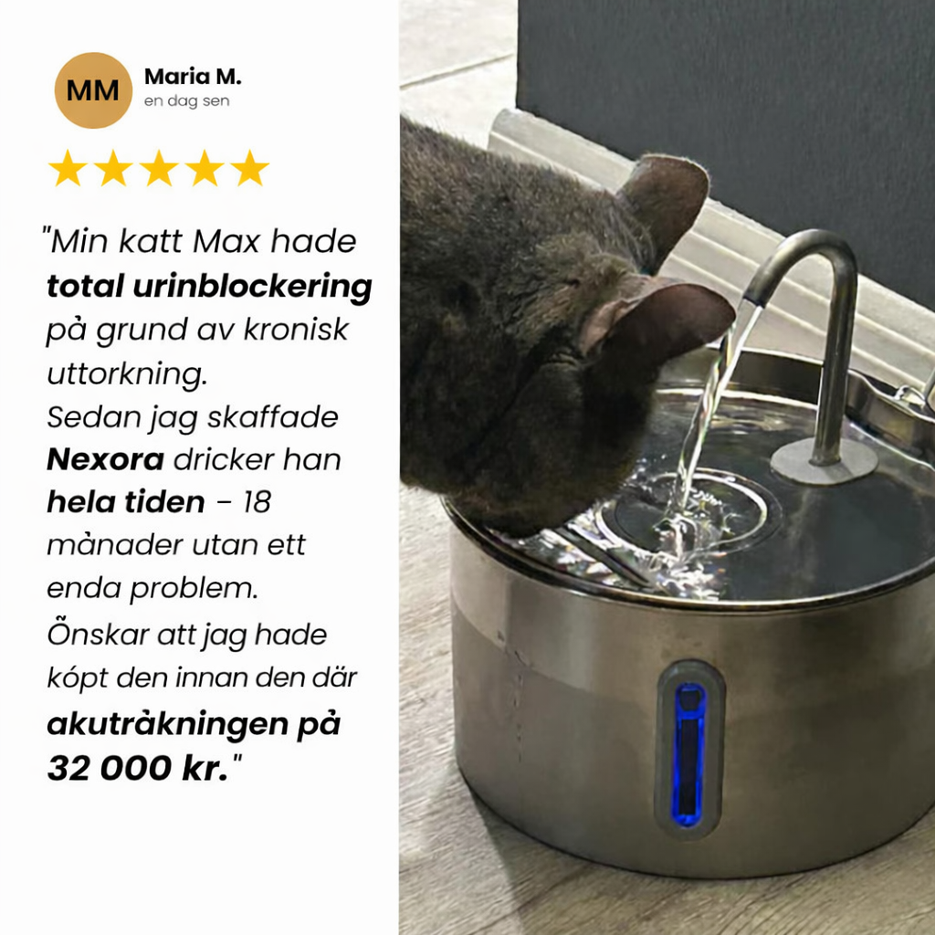 Nexora's kattfontän