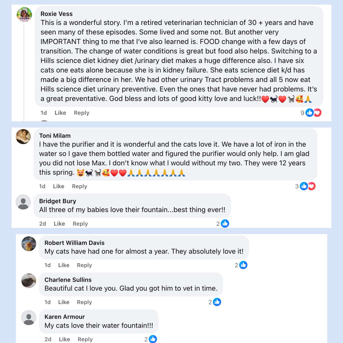 Nexora's kattfontän