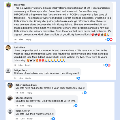 Nexora's kattfontän